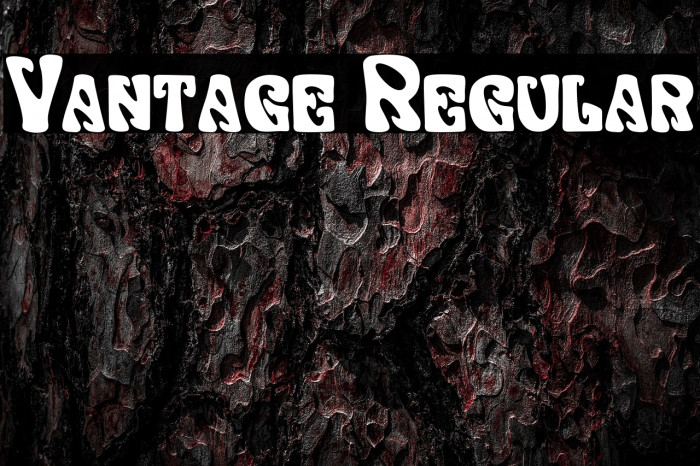 Vantage Regular Font examples