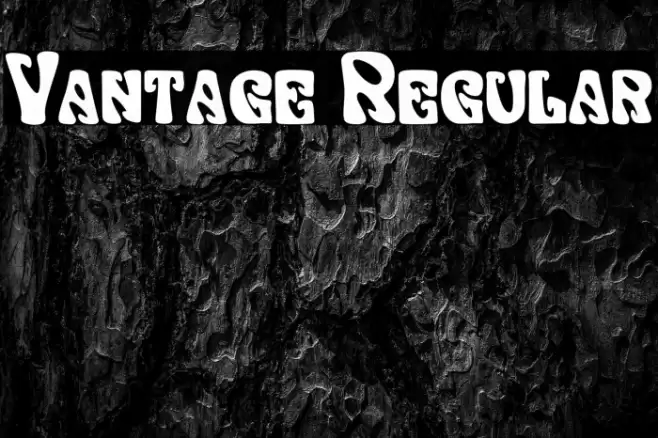 Vantage Regular Caratteri examples
