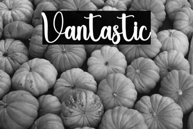 Vantastic Schriftart examples