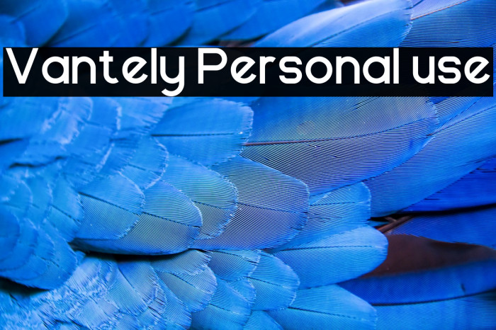 Vantely Personal use Example 3