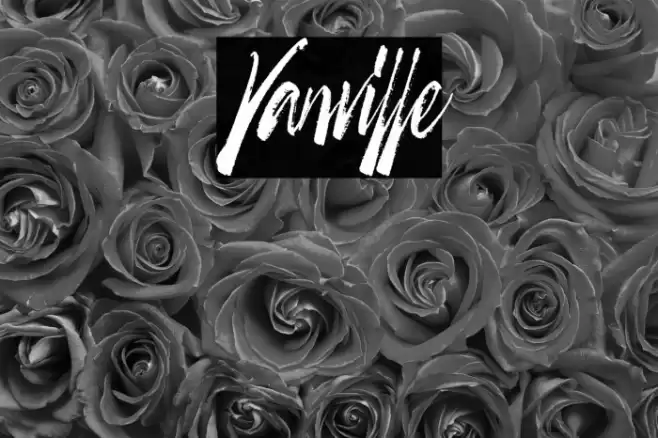 Vanville Font examples