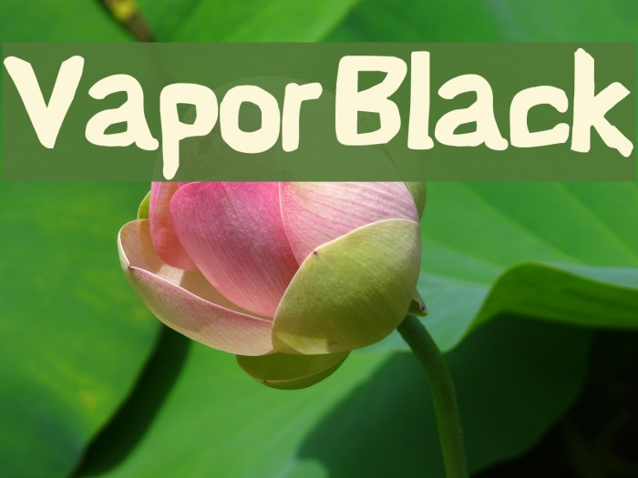 Vapor Black Example 1