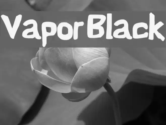 Vapor Black Font examples