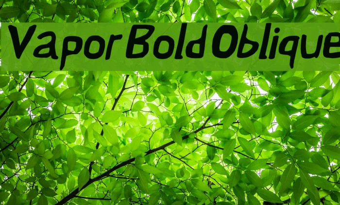 Vapor Bold Oblique Font examples