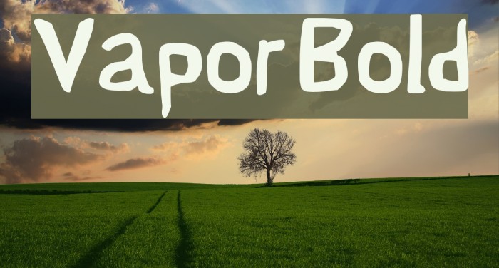 Vapor Bold Font examples