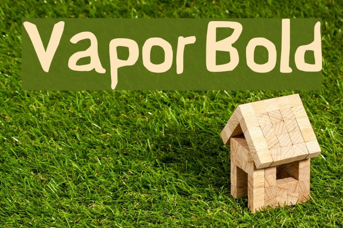 Vapor Bold Font examples