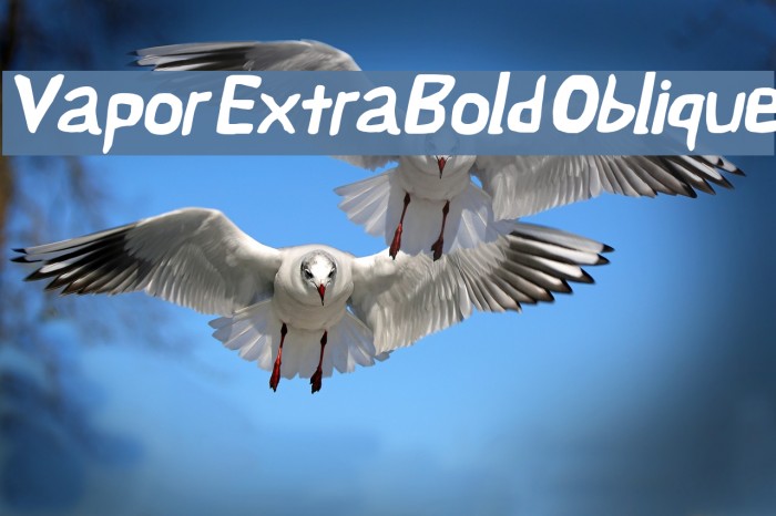 Vapor ExtraBold Oblique Example 1