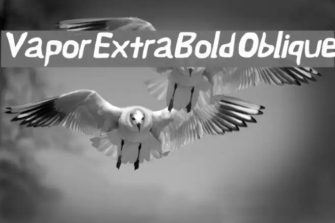 Vapor ExtraBold Oblique Font examples