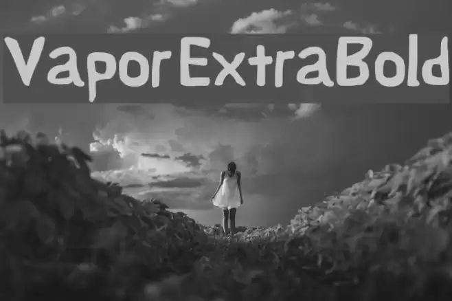 Vapor ExtraBold フォント examples