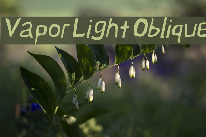 Vapor Light Oblique Font examples
