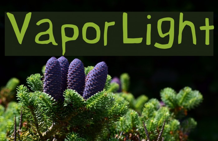 Vapor Light Font examples