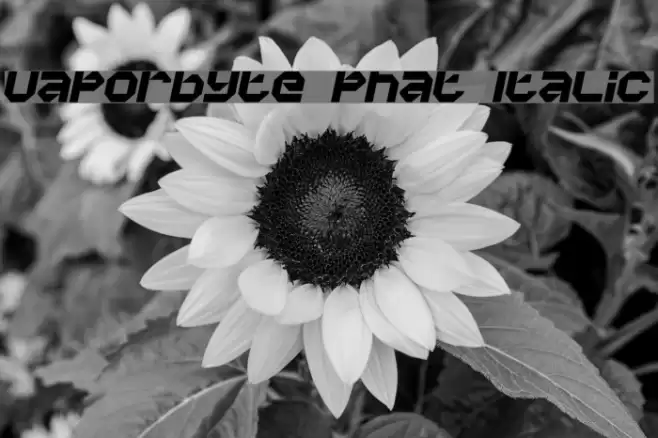 Vaporbyte Phat Italic Font examples