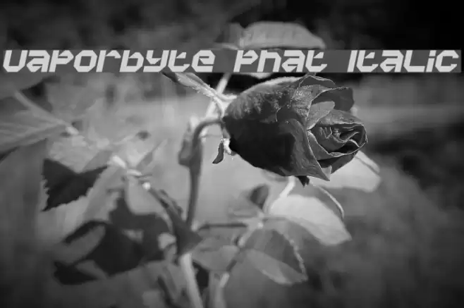 Vaporbyte Phat Italic Font examples