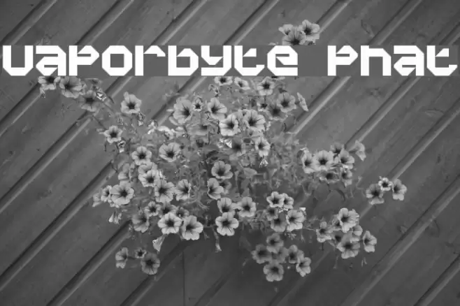 Vaporbyte Phat Font examples