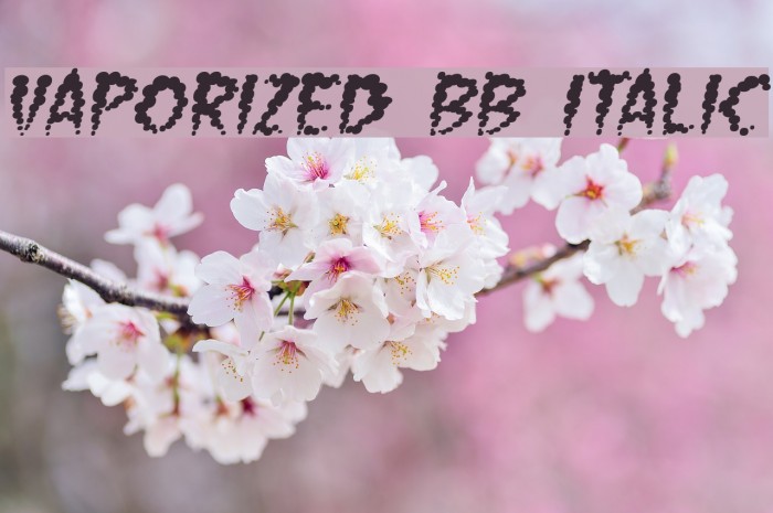 Vaporized BB Italic Font examples