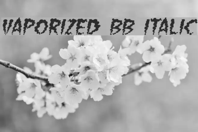 Vaporized BB Italic Font examples