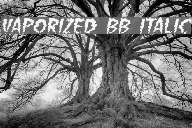Vaporized BB Italic Font examples
