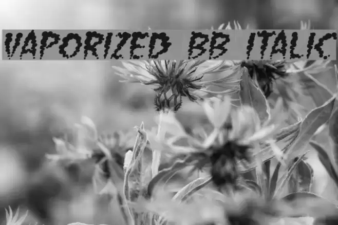 Vaporized BB Italic Font examples