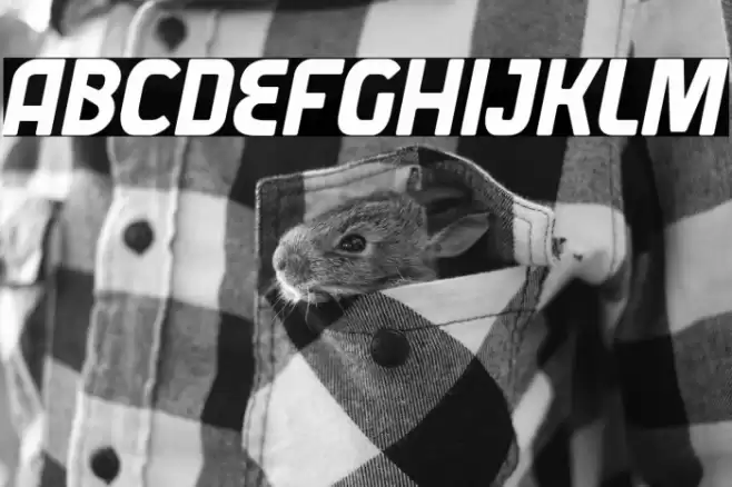 Varane Free Personal Used Font examples