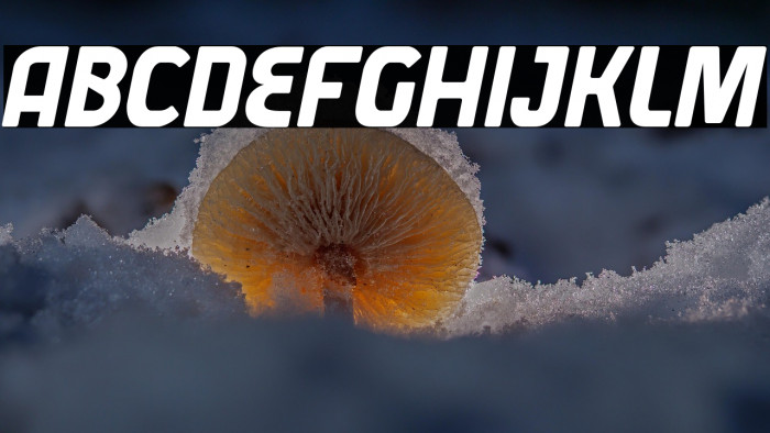 Varane Free Personal Used Example 2