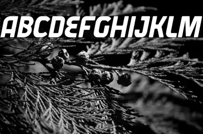 Varane Free Personal Used Font examples