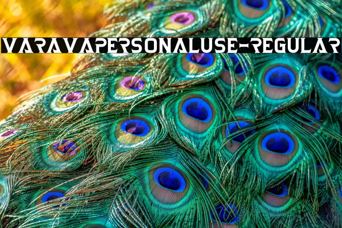 VaravaPersonalUse-Regular Example 1