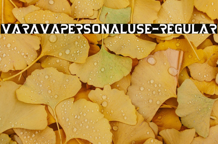 VaravaPersonalUse-Regular Example 2