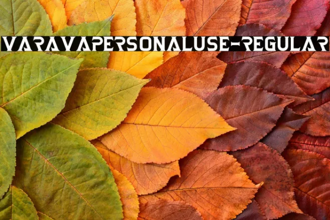 VaravaPersonalUse-Regular Example 3