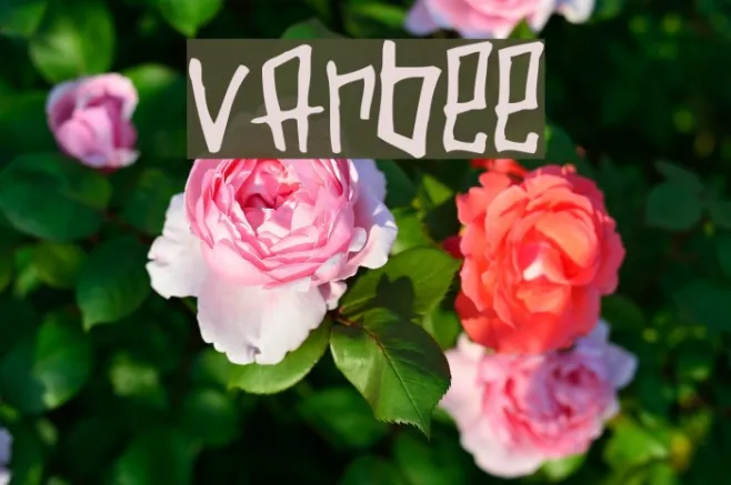 Varbee Example 2