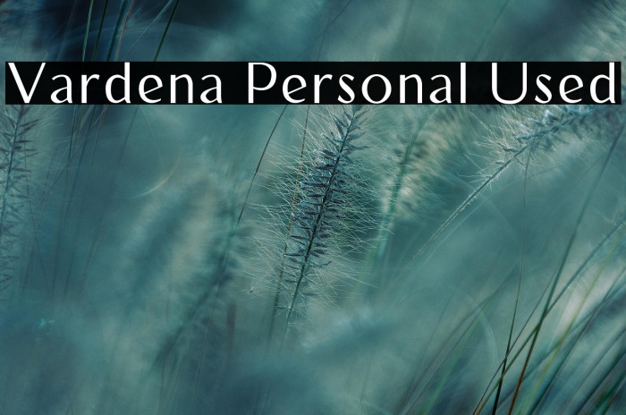 Vardena Personal Used Example 1