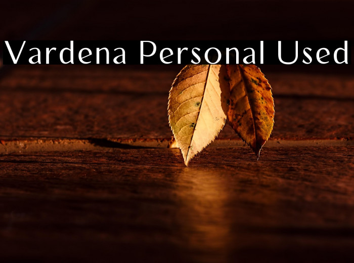 Vardena Personal Used Example 3
