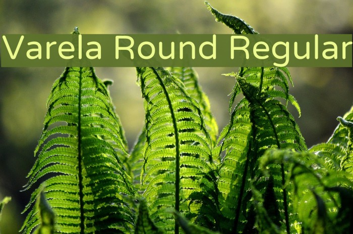 Varela Round Regular Font examples