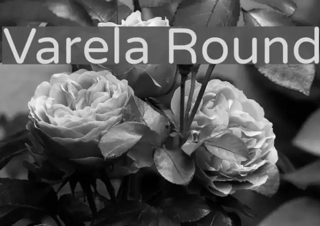 Varela Round Font examples