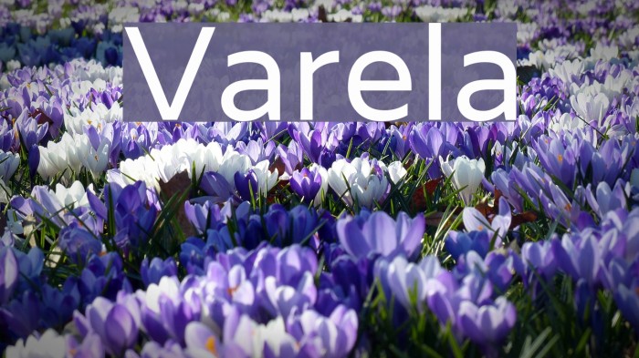Varela Font examples