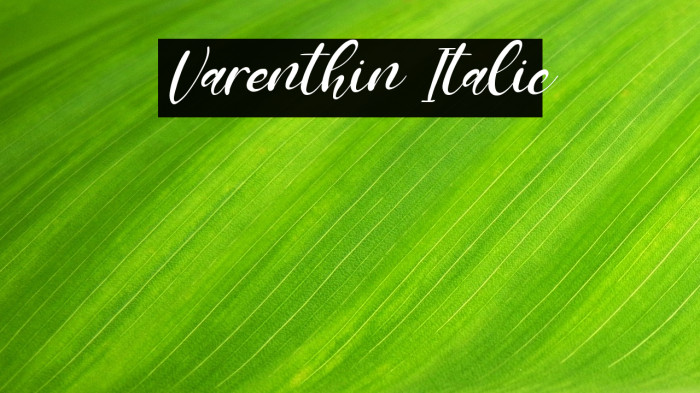 Varenthin Italic Example 1