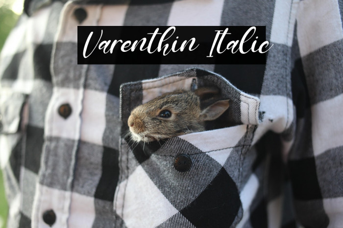 Varenthin Italic Example 3