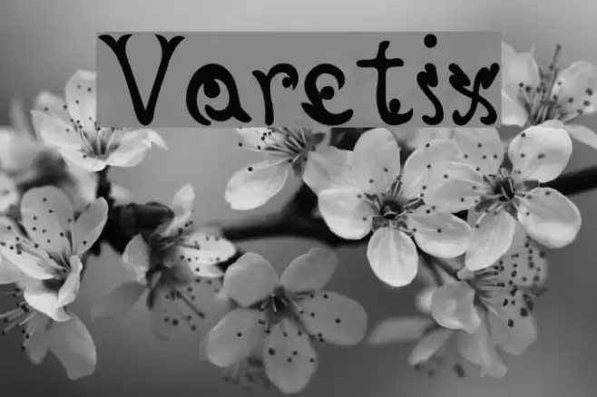 Varetix Font examples