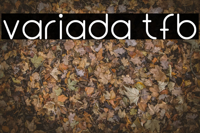 Variada tfb Font examples