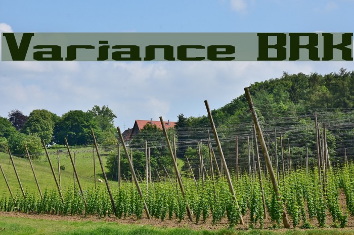 Variance BRK Font examples