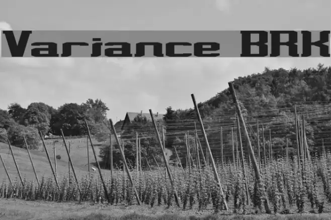 Variance BRK Schriftart examples
