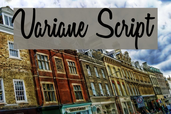 Variane Script Font examples