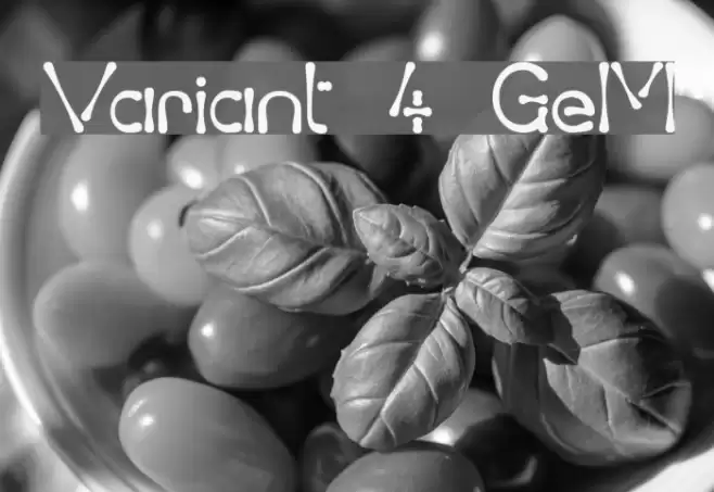 Variant 4 GeM Font examples