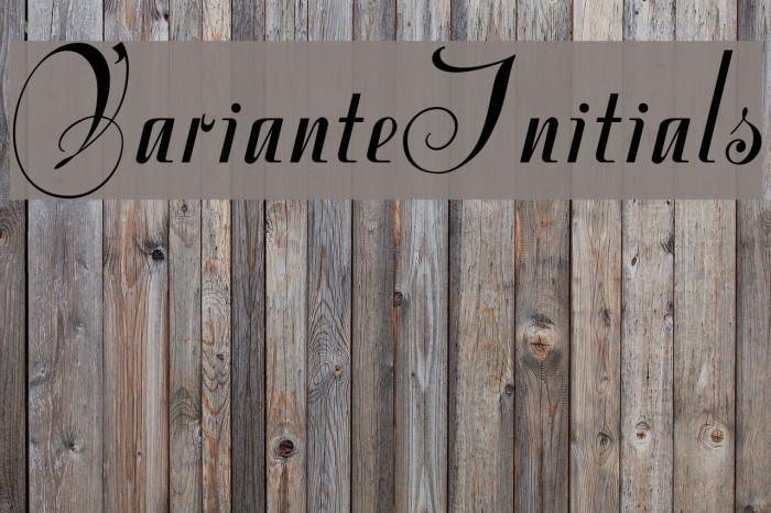 VarianteInitials Font examples