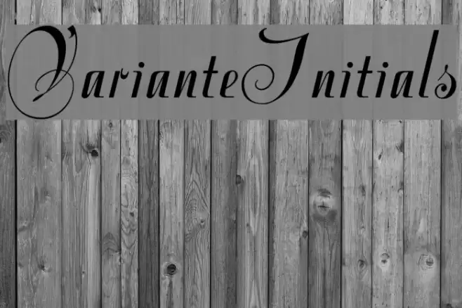 VarianteInitials Font examples