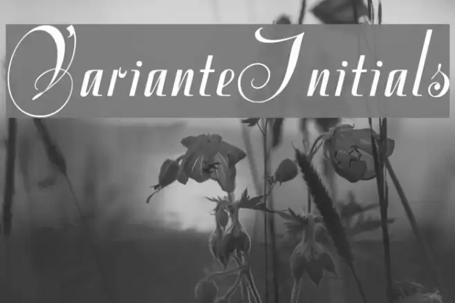 VarianteInitials Font examples