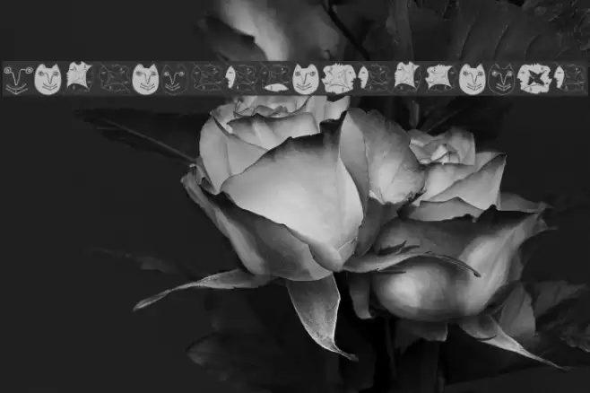 VariationsForPablo Font examples