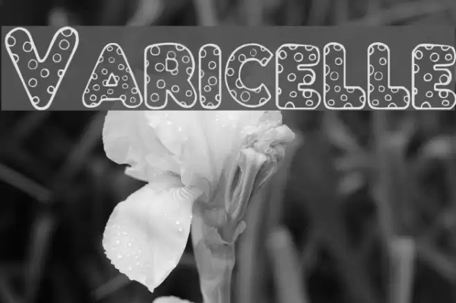 Varicelle Font examples