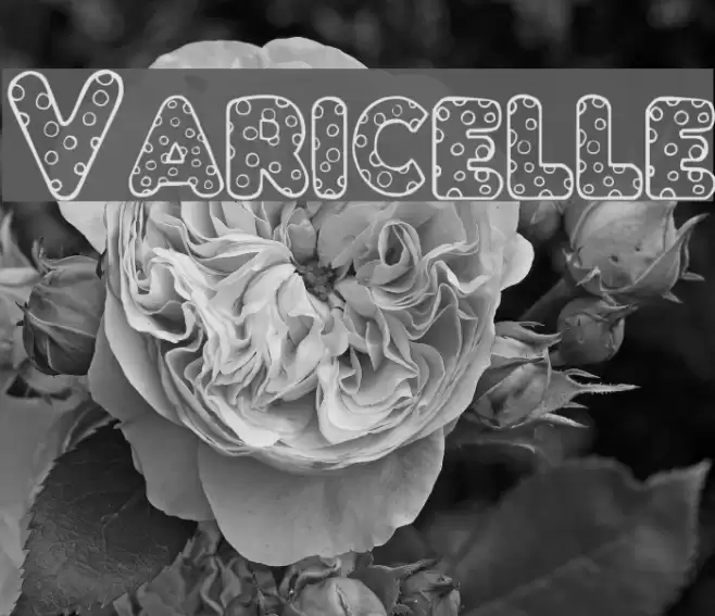 Varicelle Font examples
