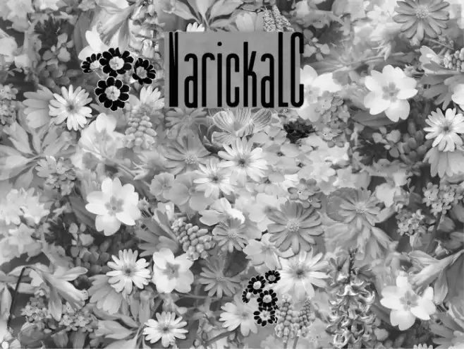 VarickaLC Font examples