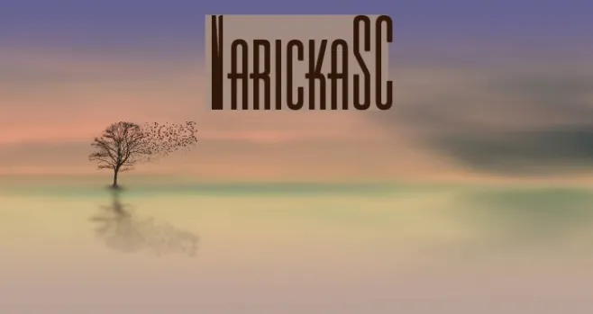VarickaSC Example 2